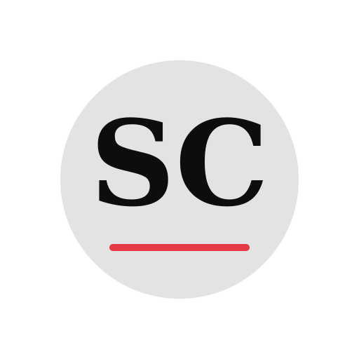 Snow Chimney Repair logo